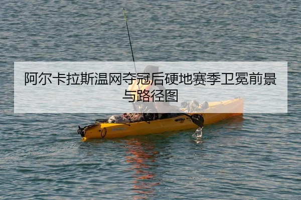 a-er-ka-la-si-wen-wang-duo-guan-hou-ying-di-sai-ji-wei-mian-qian-jing-yu-lu-jing-tu-2-217.jpg