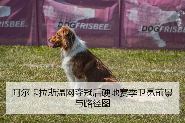 阿尔卡拉斯温网夺冠后硬地赛季卫冕前景与路径图