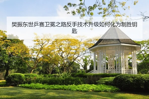 fan-zhen-dong-shi-ping-sai-wei-mian-zhi-lu-fan-shou-ji-shu-sheng-ji-ru-he-hua-wei-zhi-sheng-yao-shi-2-526.jpg